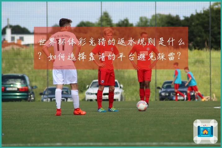 世界杯体彩竞猜的返水规则是什么？如何选择靠谱的平台避免踩雷？