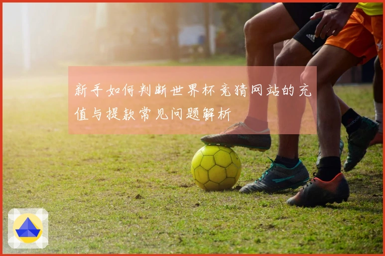 新手如何判断世界杯竞猜网站的充值与提款常见问题解析